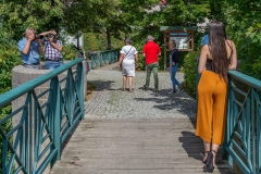#stewalk