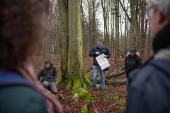 Morgenwanderung 2019 - (c) Mario Kern
