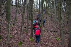 Morgenwanderung 2019 - (c) Mario Kern