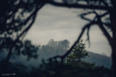 Morgenwanderung 2019 - (c) Klaus Wendel