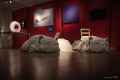 Glasmuseum - (c) Klaus Wendel