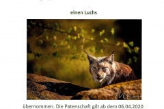 Wildpark Tambach Patenschaft