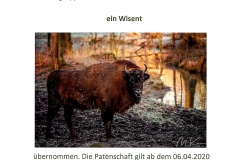 Wildpark Tambach Patenschaft