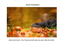 Wildpark Tambach Patenschaft