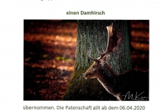Wildpark Tambach Patenschaft