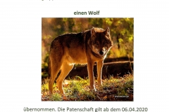 Wildpark Tambach Patenschaft