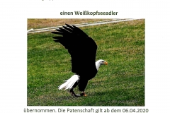Wildpark Tambach Patenschaft
