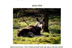 Wildpark Tambach Patenschaft