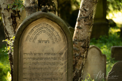 Jüd. Friedhof Burgkunstadt - (c) Mario Kern
