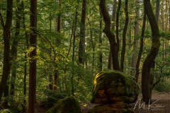 Ebnether Keller  - (c) Mario Kern