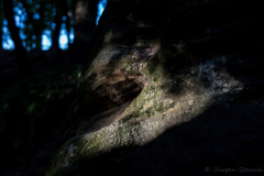 Ebnether Keller  - (c) Jürgen Stauch