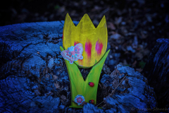 Burgkunstadt - (c) Jürgen Stauch