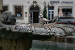 Kulmbach - (c) Jürgen Stauch