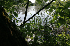 Kopf-Liliana-Wasser-2