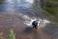 Wieder-Luis-Wasser-2