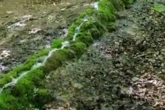 Wieder-Luis-Wasser-3