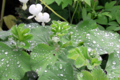 Wieder-Tim-Wasser-1