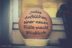 Weismain - (c) K. Wendel