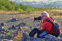 Zeilberg - (c) Michael Grau