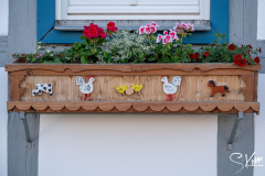 Ummerstadt - (c) Silke Kern