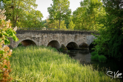 Ummerstadt - (c) Silke Kern