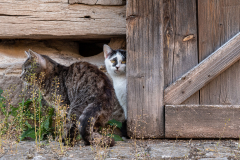 Ummerstadt - (c) Robert Geisel