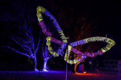 Winterleuchten Erfurt - (c) Jürgen Stauch