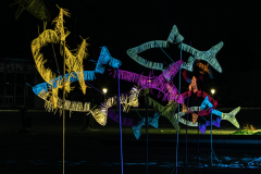 Winterleuchten Erfurt - (c) Jürgen Stauch