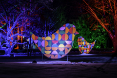 Winterleuchten Erfurt - (c) Jürgen Stauch