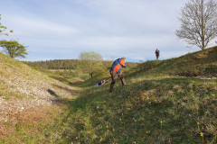 Morgenbühl - (c) Robert Geisel