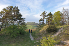 Morgenbühl - (c) Robert Geisel