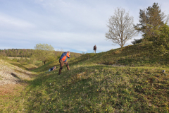 Morgenbühl - (c) Robert Geisel