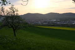 Morgenbühl - (c) Michael Grau