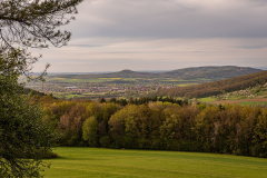 Morgenbühl - (c) Robert Geisel