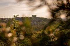 Morgenbühl - (c) Robert Geisel