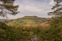 Morgenbühl - (c) Robert Geisel