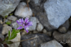 Geotop Ludwag - (c) Jürgen Stauch