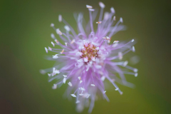 Geotop Ludwag - (c) Jürgen Stauch