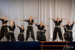 Dance4Fun - (c) Nicole Lanig