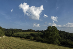 Veitsberg - (c) Christine Schneider