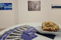 Vernissage "Kontraste"