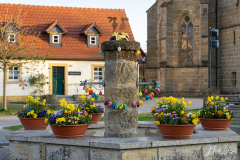 Osterbrunnen Wiesen - (c) Nicole Lanig