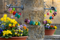 Osterbrunnen Wiesen - (c) Nicole Lanig