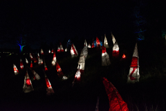 Kronach leuchtet - (c) Christine Schneider