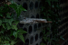 Flaschenhaus - (c) Christine Schneider