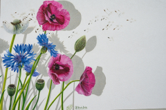 Heldburg - (c) Robert Geisel
