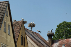 Uehlfeld - (c) Christine Schneider