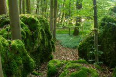 Felsenlabyrinth Eichig -  (c) Hartmut Klamm