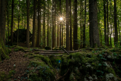 Felsenlabyrinth Eichig -  (c) Robert Geisel