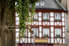 Kronach - (c) Nicole Lanig